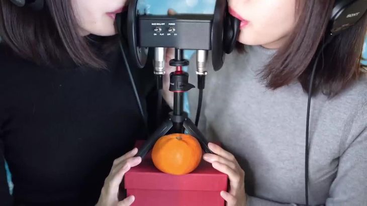 ASMR タートルネックのお姉さんに両耳を舐められる