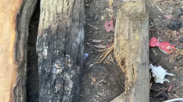 【抖音六六】助眠哄睡ASMR视频集 51