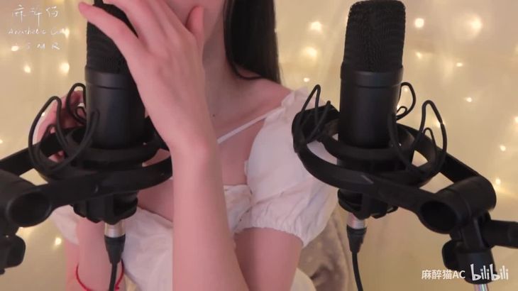 【麻醉猫】ASMR纯口腔音