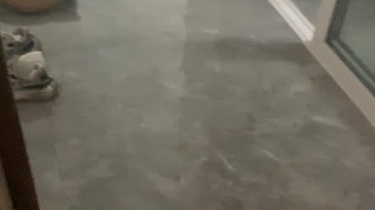 [易直播胆胆】土豪专属定制福利视频 15