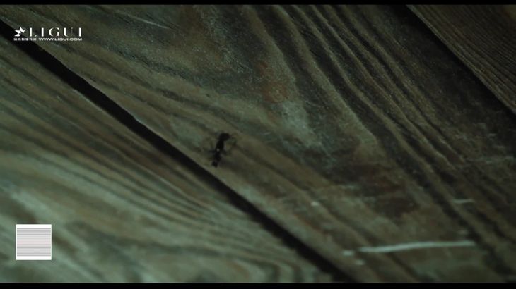 丽柜各种丝姬小姐姐 20