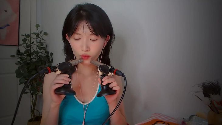 【芝麻对辣】助眠哄睡减压ASMR 16