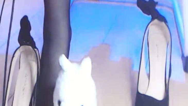 ASMR@肉淼淼 搜查系列 帮你下班轻松