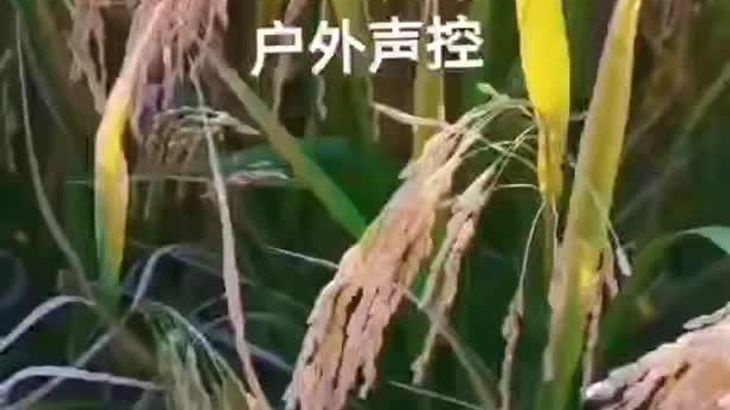 【抖音六六】助眠哄睡ASMR视频集 77