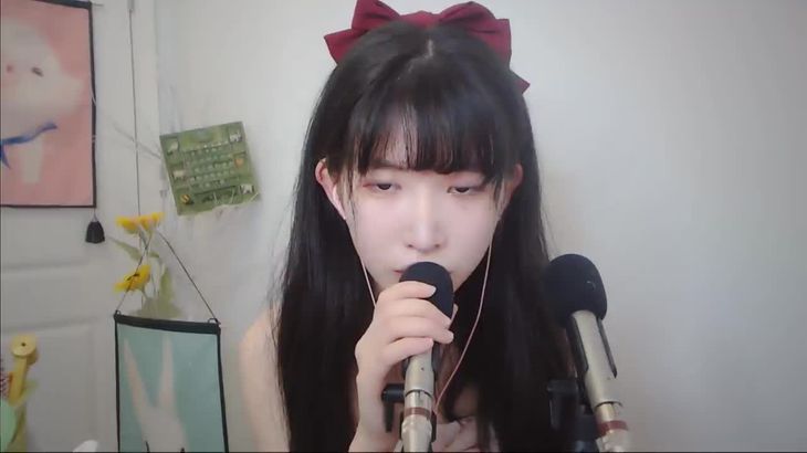 【芝麻对辣】助眠哄睡减压ASMR 34