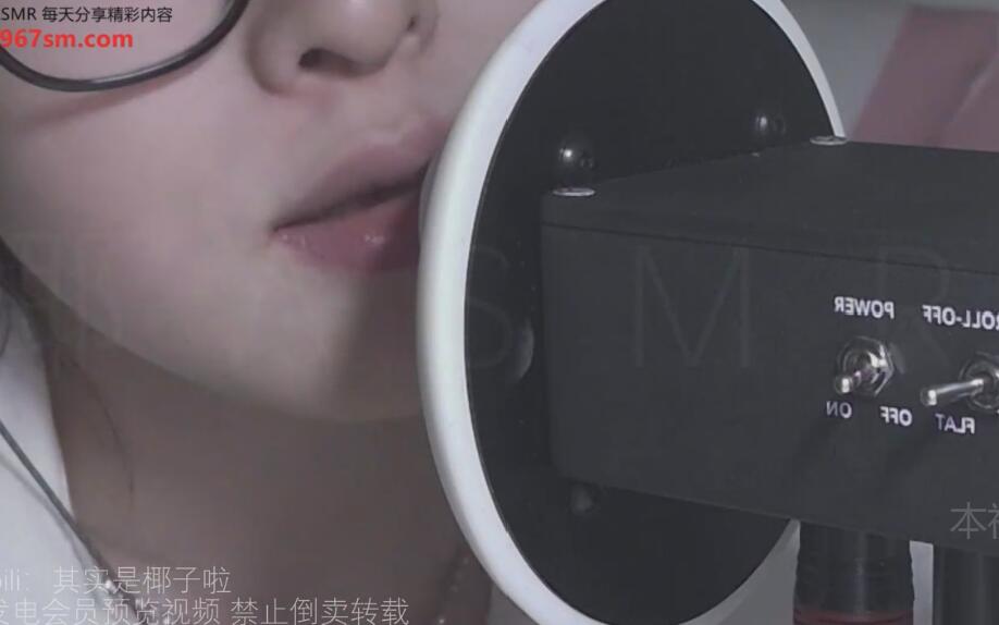 椰子SMR 无降噪固定天鹅.