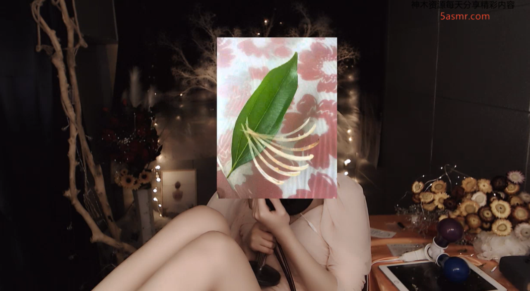 虎牙小太阳贼大ASMR魔法书福利5弹舌助眠.